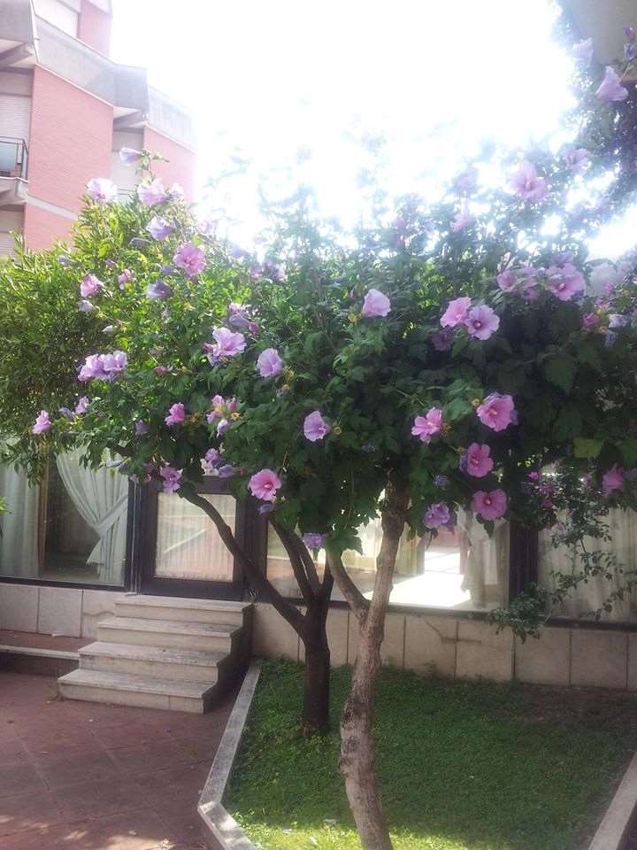 Hotel De La Ville Central لاتينا المرافق الصورة