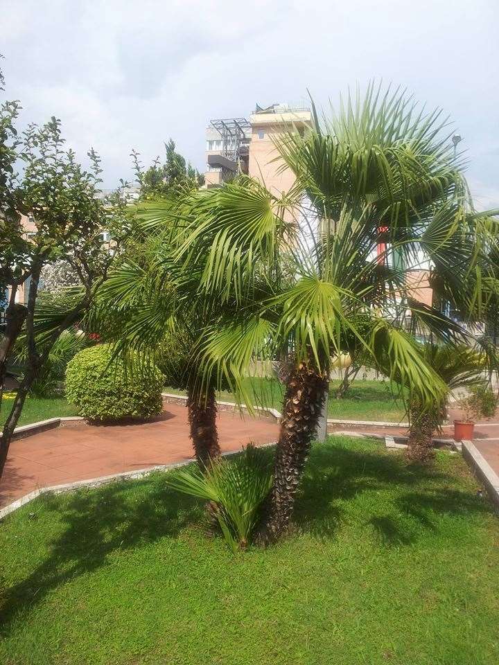 Hotel De La Ville Central لاتينا المرافق الصورة